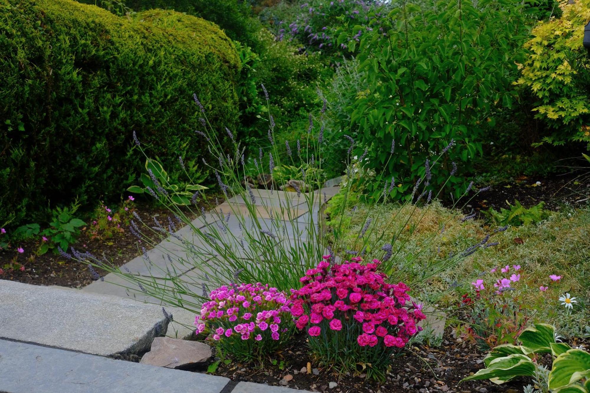 Ardenlea Bed & Breakfast Kyle of Lochalsh Bagian luar foto