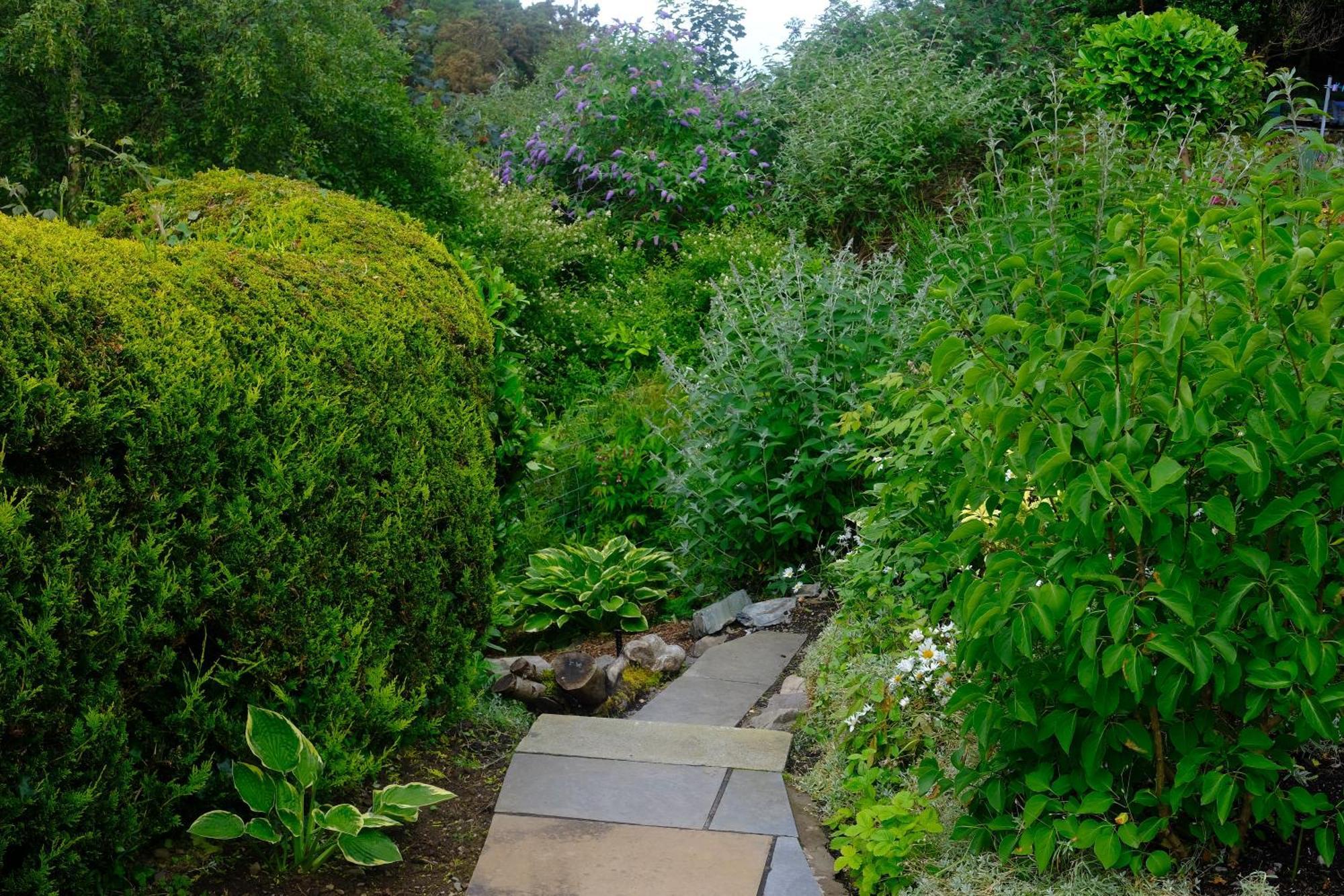 Ardenlea Bed & Breakfast Kyle of Lochalsh Bagian luar foto